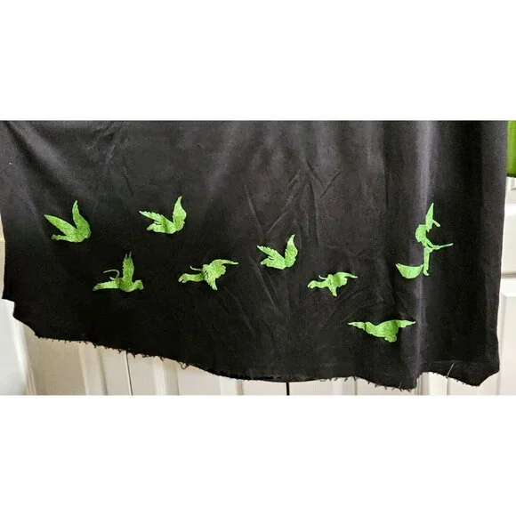 Wizard of Oz Wicked Witch Elphaba Costume Girls 10-12 Dress Glasses Hat Broom - Picture 4 of 12